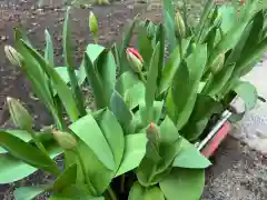 大宮温泉神社の自然