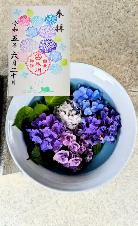 白金氷川神社の御朱印