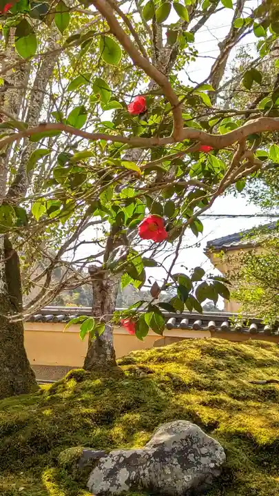 霊鑑寺門跡(京都府)