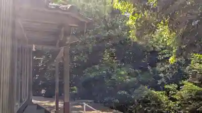 黒島神社の自然