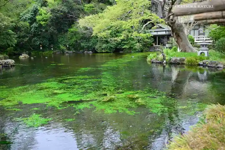 富士山本宮浅間大社の庭園