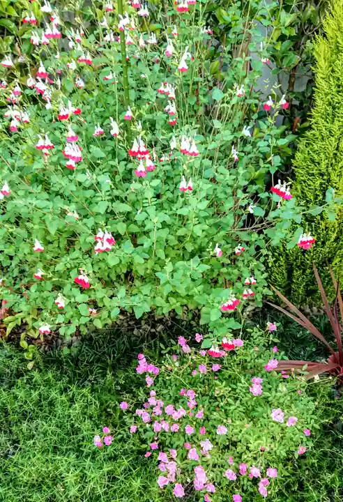 寿量山 速成寺の自然