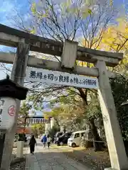 安井金比羅宮の鳥居