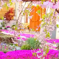 寿量山 速成寺の自然