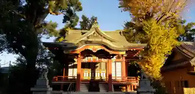 柴又八幡神社の本殿・本堂