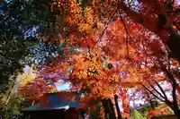 國祖神社の景色