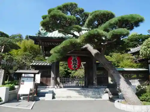 長谷寺の山門