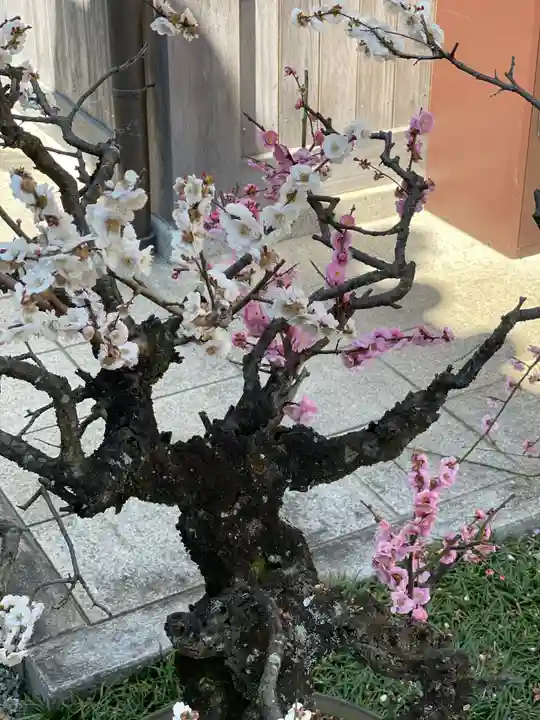 梅香寺(三重県)