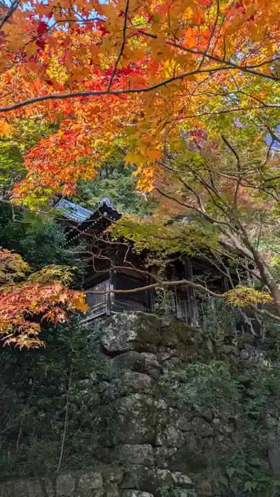勝持寺(花の寺)(京都府)