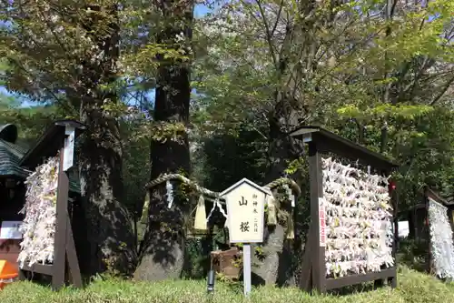 櫻木神社(千葉県)