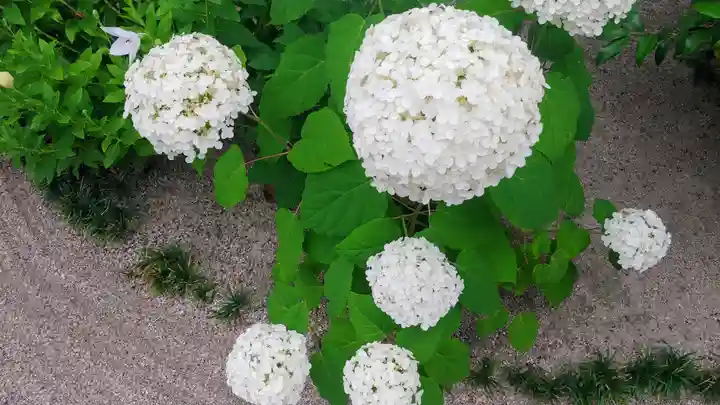櫛田神社の庭園