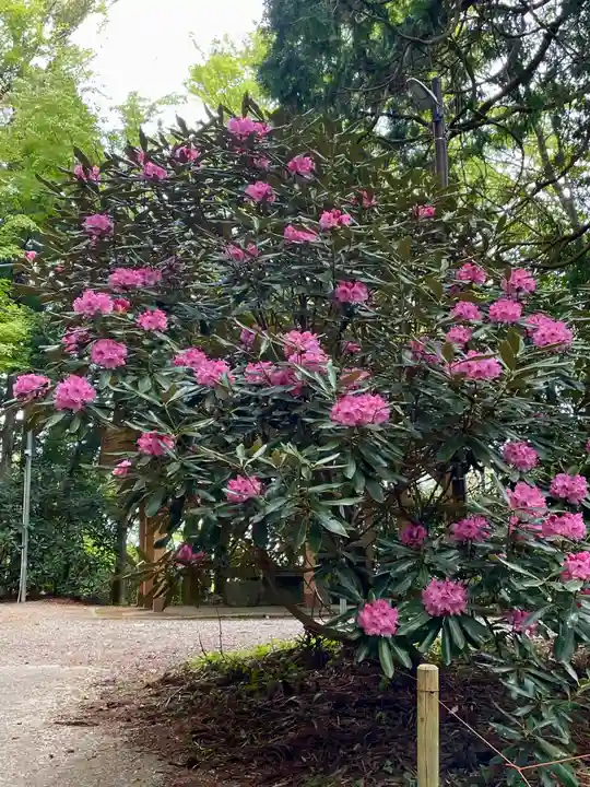西照神社(徳島県)