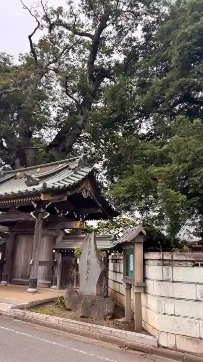 梅岩寺(東京都)