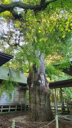 上沼八幡神社(宮城県)