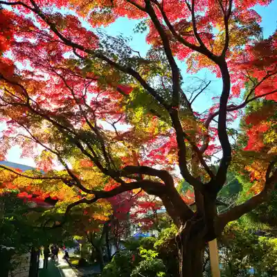 鎌倉宮(神奈川県)
