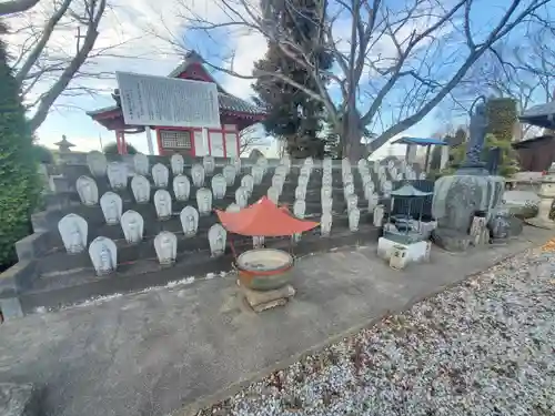 雲龍寺(群馬県)