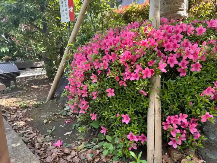 桜神宮の{uncategorized: "未分類", other: "その他", undefined: "問題あり", building: "その他建物", grave: "お墓", sacred_gate: "鳥居", guardian: "狛犬", statue: "像", buddha: "仏像", history: "歴史", nature: "自然", garden: "庭園", animal: "動物", pagoda: "塔", temizu: "手水舎", mountain_gate: "山門・神門", sanctuary: "本殿・本堂", subordinate: "末社・摂社", art: "芸術", scenery: "景色", jizo: "地蔵", ema: "絵馬", goshuin: "御朱印", omikuji: "おみくじ", items: "授与品その他", amulet: "お守り", goshuincho: "御朱印帳", eats: "食事", festival: "お祭り", votive_dance: "神楽", shichigosan: "七五三参", wedding: "結婚式", experience: "体験その他", initially: "初詣", around: "周辺", anti_infection: "感染症対策"}