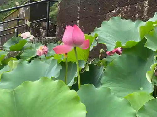 霊巌寺(和歌山県)