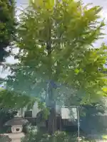 玄法院(山梨県)