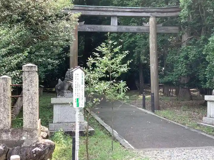 若狭彦神社(上社)の鳥居