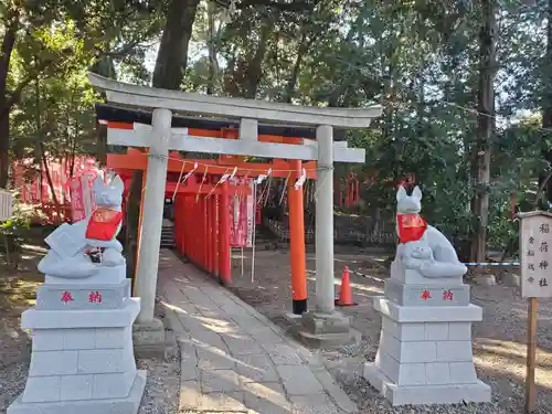 武蔵一宮氷川神社(埼玉県)