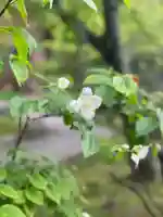 伊勢の国 四天王寺の自然