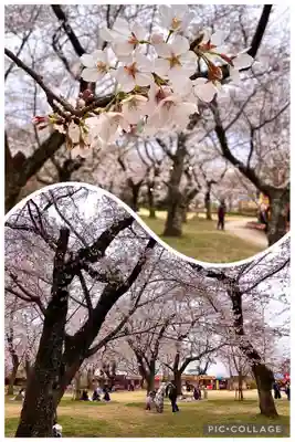 布施弁天 東海寺(千葉県)