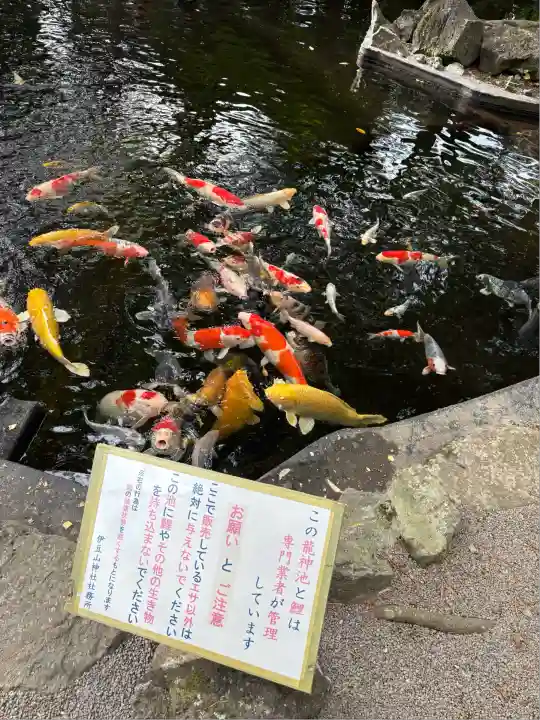 伊豆山神社(静岡県)