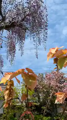 乘願院(京都府)