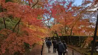 光明寺（粟生光明寺）(京都府)