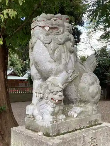 岩槻久伊豆神社の狛犬