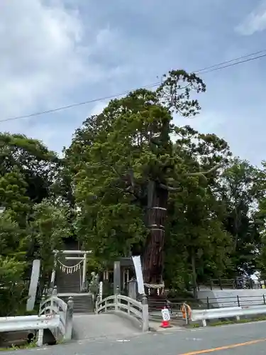 大國魂神社(福島県)