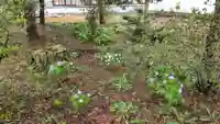 極楽寺(北海道)