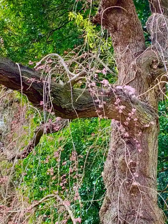 青葉神社(宮城県)