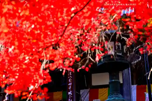 最乗寺（道了尊）(神奈川県)