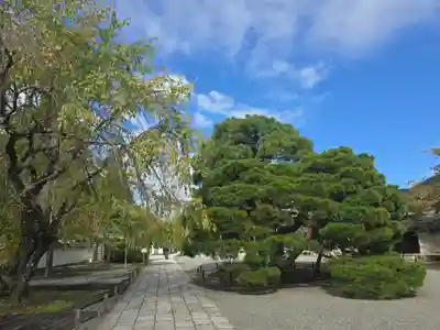 三宝院（三宝院門跡）(京都府)