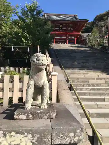 鶴岡八幡宮の狛犬