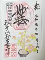 妙蓮寺の御朱印