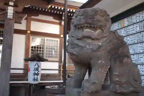 今泉八坂神社の狛犬