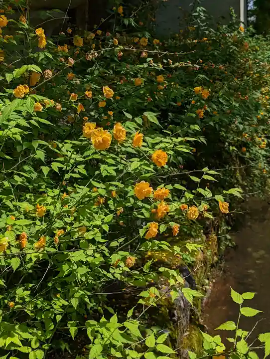 松尾大社(京都府)