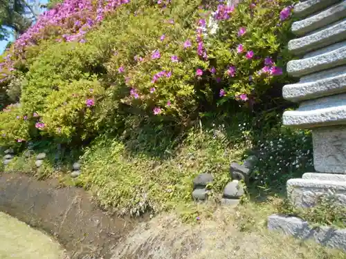 仏行寺（佛行寺）のその他建物