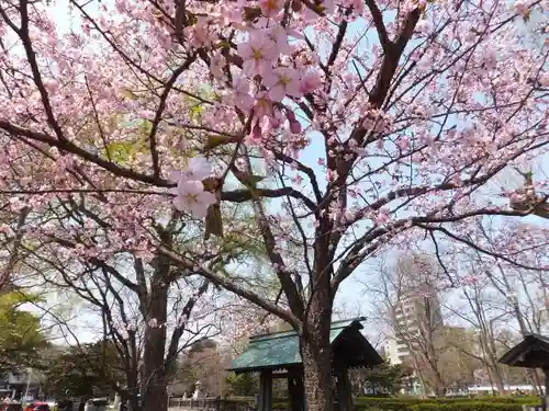 札幌護國神社の自然