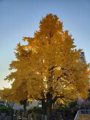 仙寿院(東京都)
