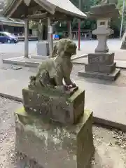 東村山八坂神社の狛犬