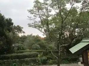 屋久島大社のその他建物(2023年01月20日(金) 12時25分05秒投稿)