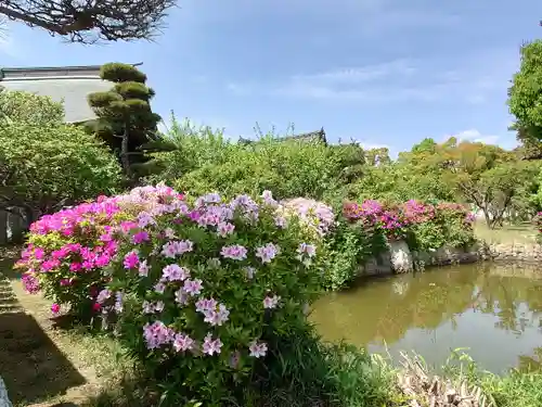 曽根天満宮の庭園