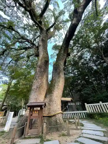 伊弉諾神宮の自然