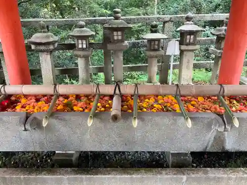 石清水八幡宮(京都府)