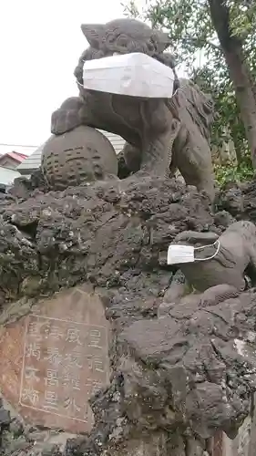 お三の宮日枝神社の狛犬