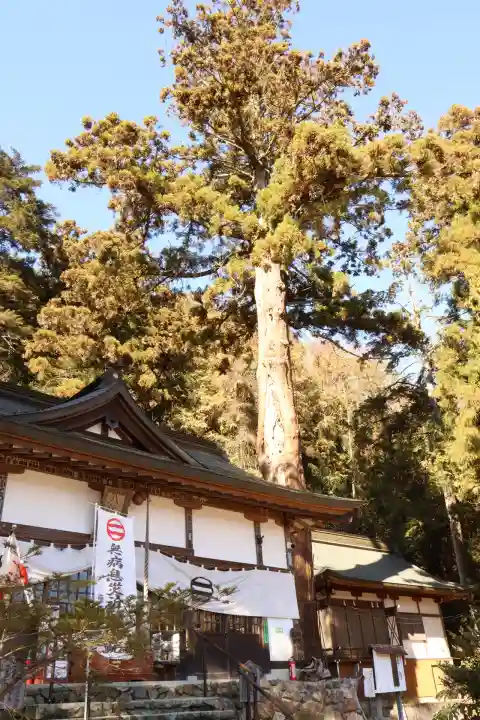 樺崎八幡宮(栃木県)